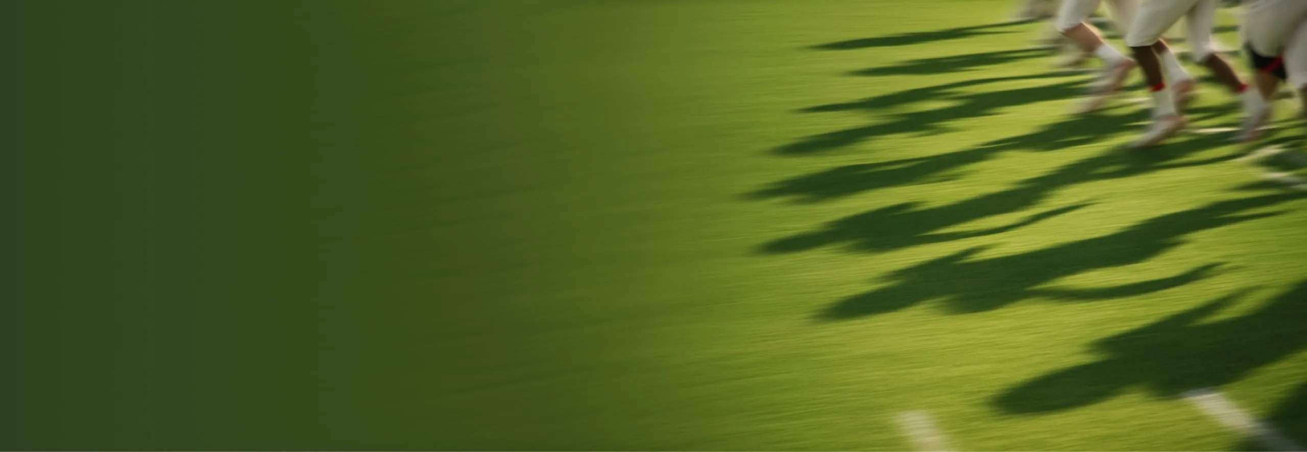 Helping Pro Athletes  Navigate Workplace Benefits